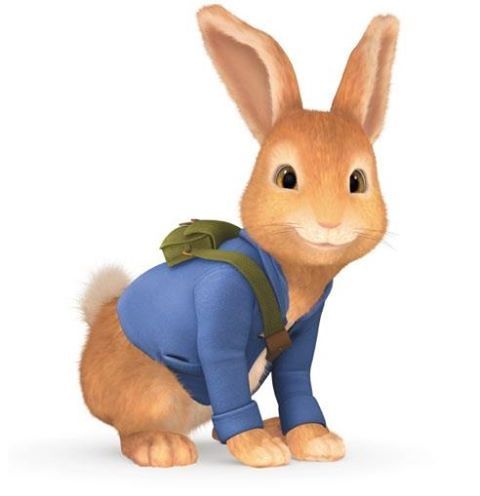 a brown rabbit wearing a blue shirt and green backpack is standing in front of a white background