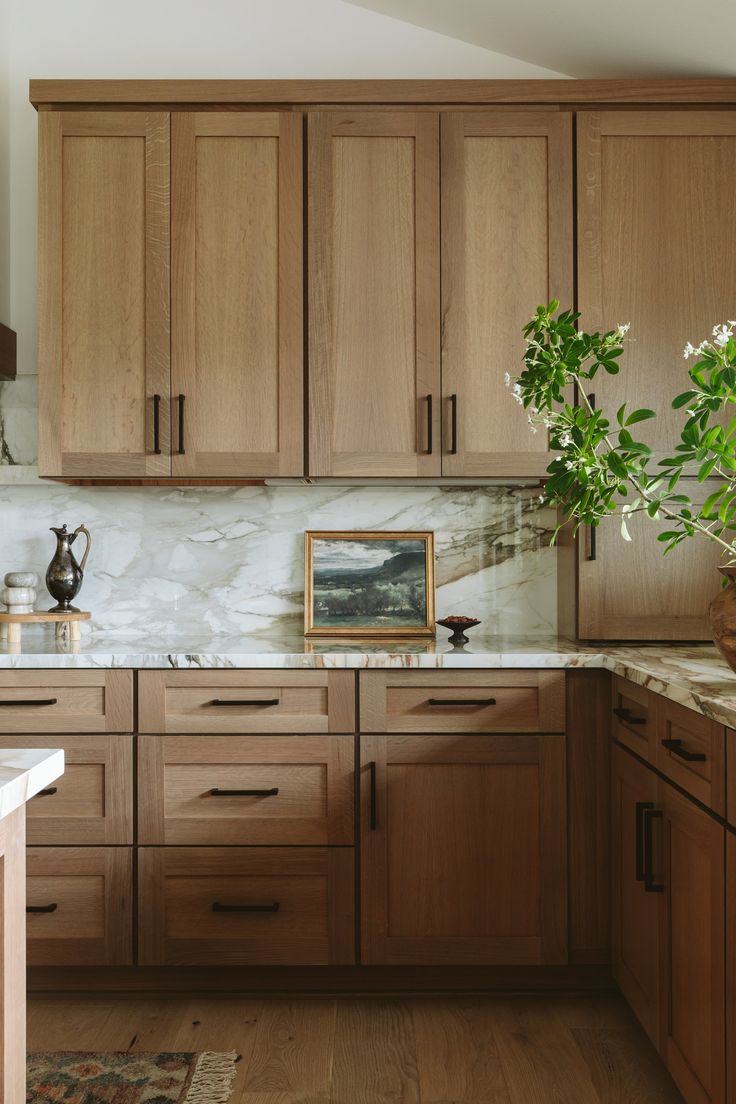 a kitchen with wooden cabinets and marble counter tops, potted plant in the corner