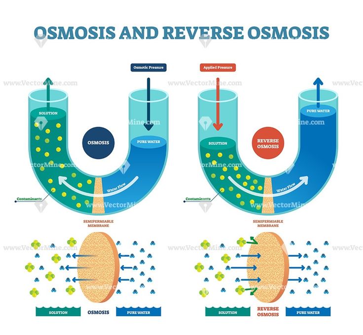 the diagram shows how osmosis and reverse osmosis work together to produce oxygen