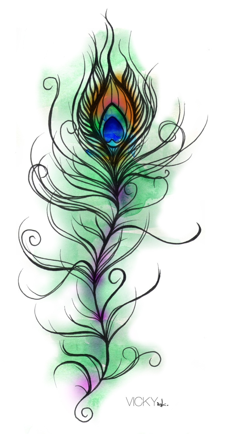 a drawing of a peacock feather on a white background