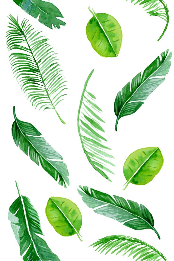 Tropical Leaves Print | Tropical leaf print, Watercolor plants, Surface ...