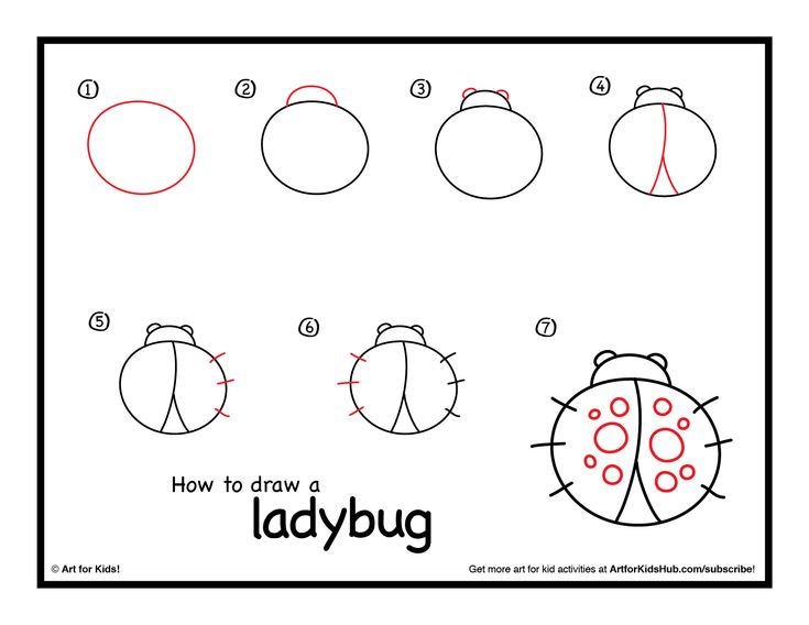 how to draw a ladybug step by step instructions for kids and beginners