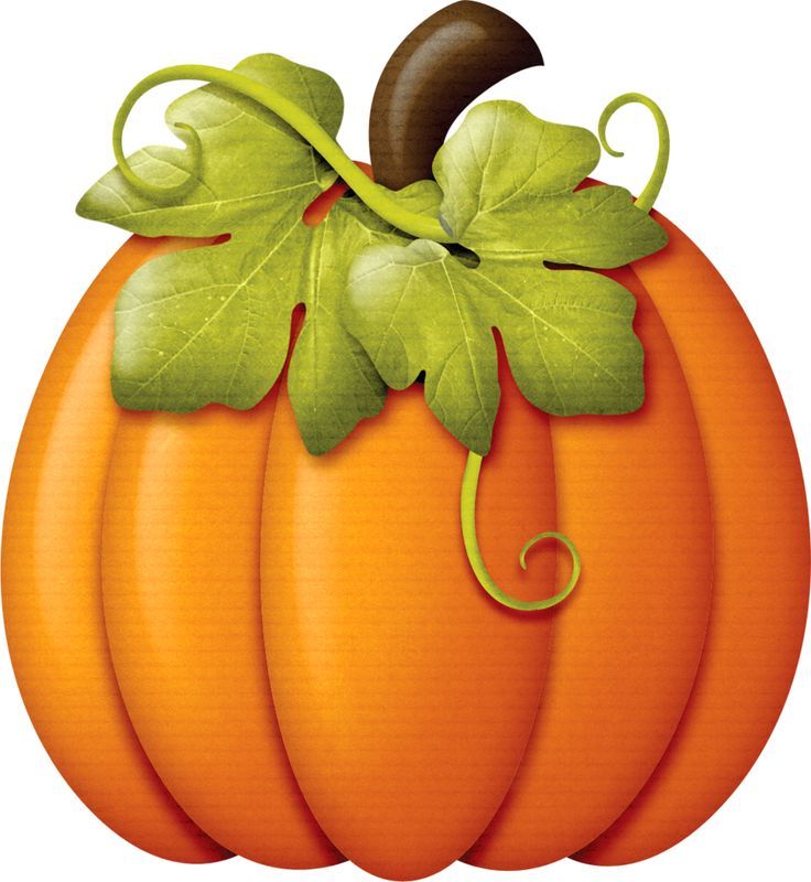 an orange pumpkin with green leaves on it