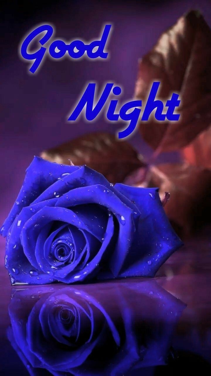 a blue rose with the words good night on it