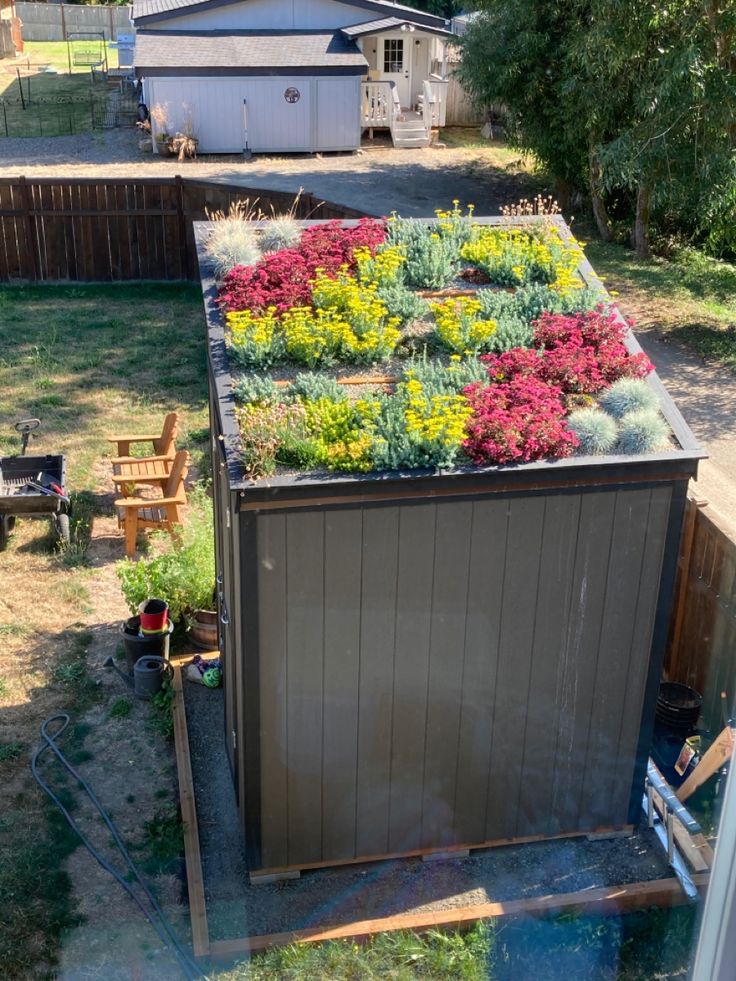 an outdoor garden with various plants growing on the roof and in front of a shed