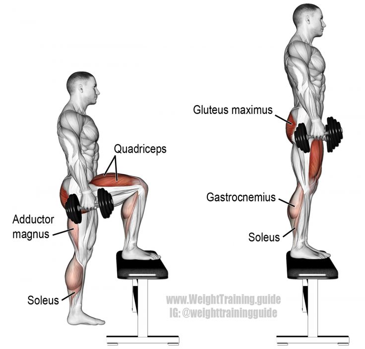 an image of a man doing exercises with dumbbells and squats on a bench