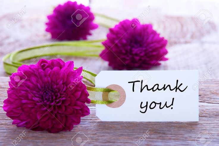 three purple flowers sitting on top of a wooden table next to a white tag that says joyeux annversaire