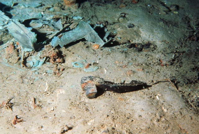 a slug crawling on the ground in dirt