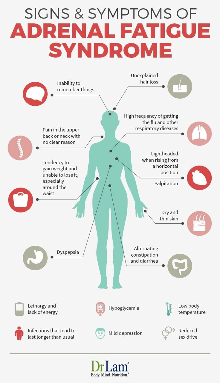 Do you know the symptoms for adrenal fatigue?   Here's an article on the fundamentals: https://www.drlam.com/articles/adrenal_fatigue.asp  Thank you, Dr. Lam, DrLam.com, for this information!  #UniteForChange #TranformYourLife #thyroid #hypothyroid #adrenalfatigue #hypoT #hyperthyroid Adrenal Fatigue Symptoms, Fatigue Symptoms, Adrenal Health, Endocannabinoid System, Adrenal Glands, Respiratory Diseases, Lack Of Energy, Info Graphic, Fatigue Syndrome