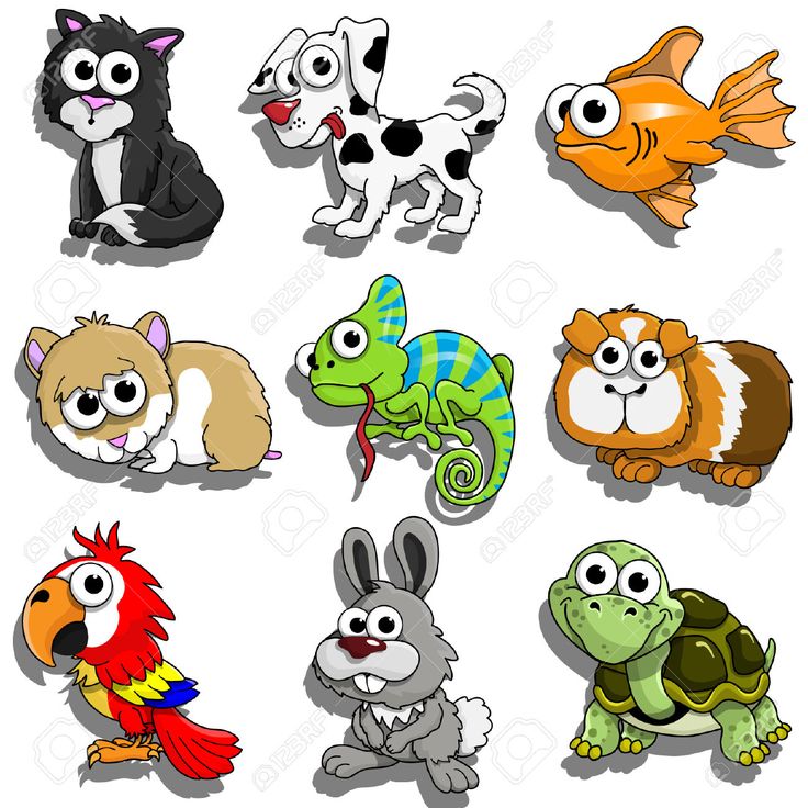 an image of cartoon animals set on white background stock photo - 957982