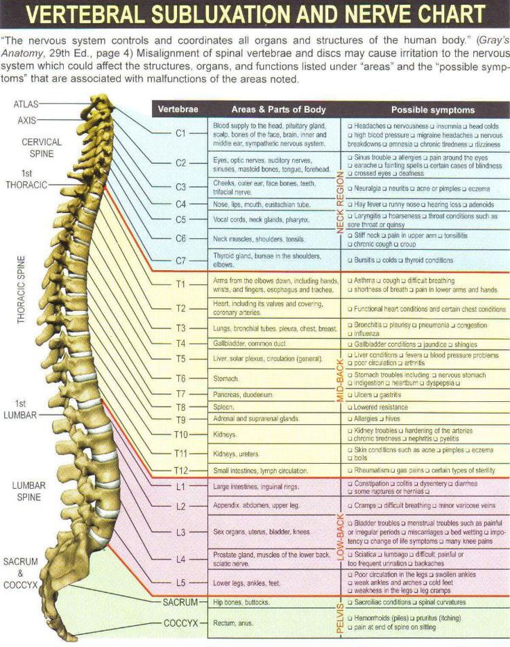 Spine is like an electrical panel to your entire body - you have to fix ...