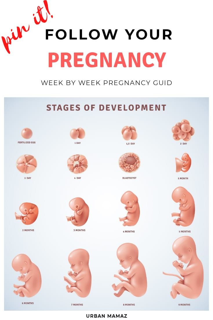 the stages of baby development in different stages