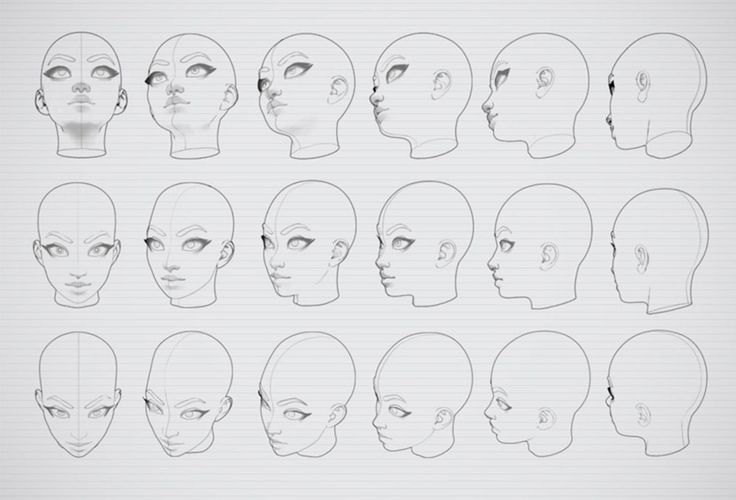 a drawing of various heads with different angles