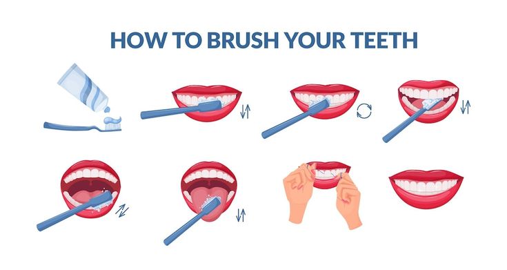 Premium Vector | How to brush your teeth step by step instruction ...