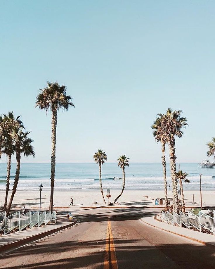 palm trees line the beach as people walk on the sand and surf in the background