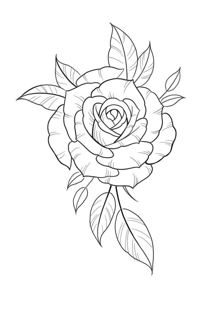 Rose Stencil Tattoo, Rose Outline Drawing, Rose Outline Tattoo, Flower Tattoo Stencils, Rose Tattoo Stencil, Realistic Rose Tattoo, Rose Outline, Rose Flower Tattoos, Rose Drawing Tattoo