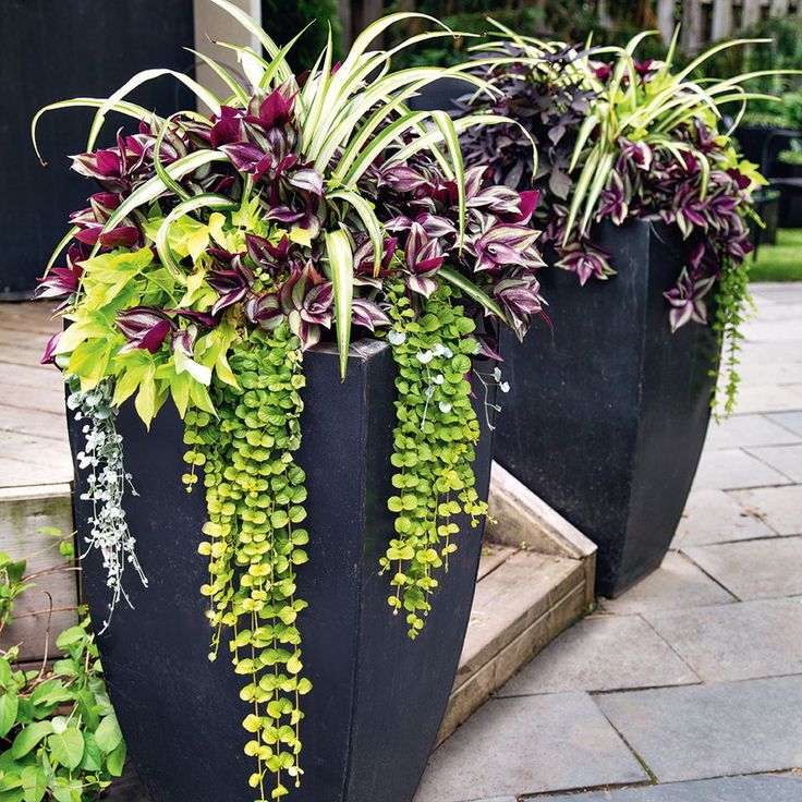 three black planters with green and purple plants in them sitting on the side of a house