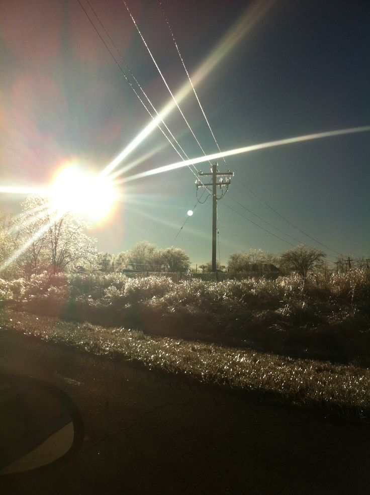 the sun shines brightly over an empty road and trees in the foreground, with power lines above