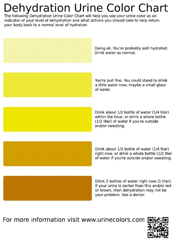 Dehydration Urine Color Chart Urine Color Chart, Color Of Urine, Cloudy Urine, Urine Color, Nutrition Chart, Hydration Station, Morning Sickness, Cpr, Medical Information