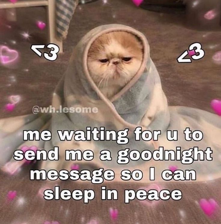 a cat in a robe with hearts around it and the caption reads, me waiting for you to send me a good morning message so i can wake up in peace