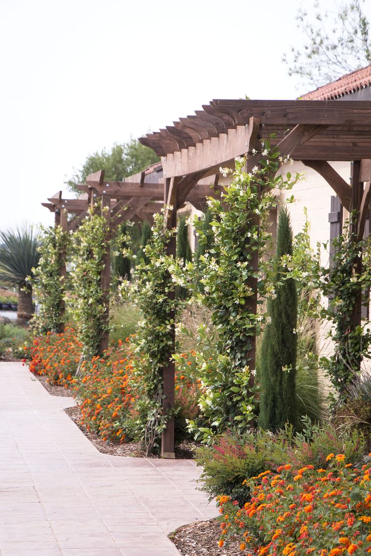 a row of wooden pergols with orange flowers in the foreground