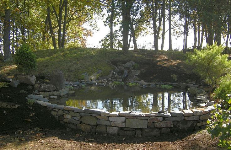 a small pond surrounded by trees and rocks