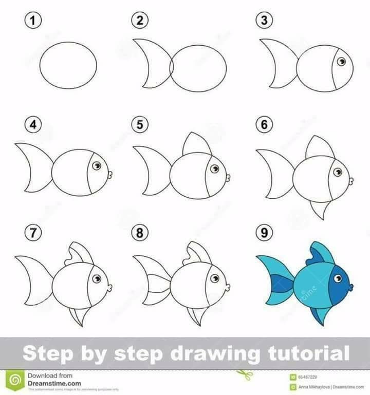 step by step drawing instructions to learn how to draw a fish