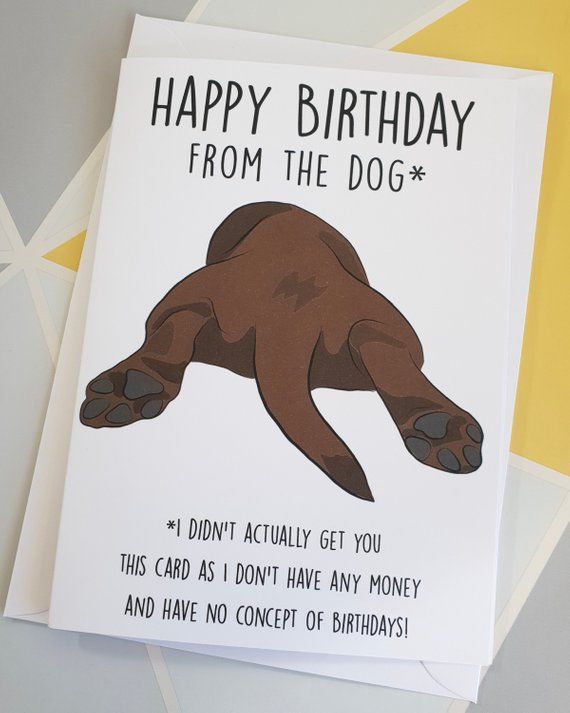 a happy birthday card with an image of a dog laying on its back and saying, happy birthday from the dog