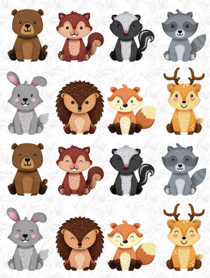 an animal clipart set with different types of animals