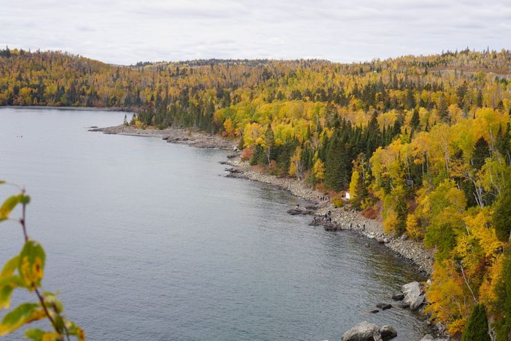 a lake surrounded by lots of trees with yellow and green leaves on the water's edge