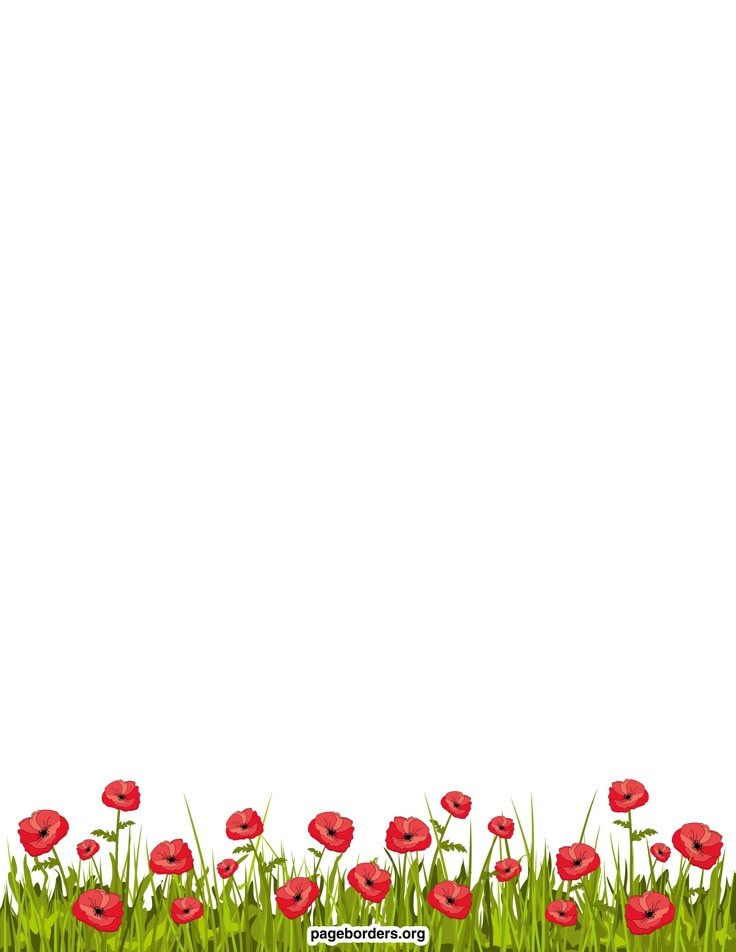 a field with red flowers and green grass on the bottom right corner is an empty space for text