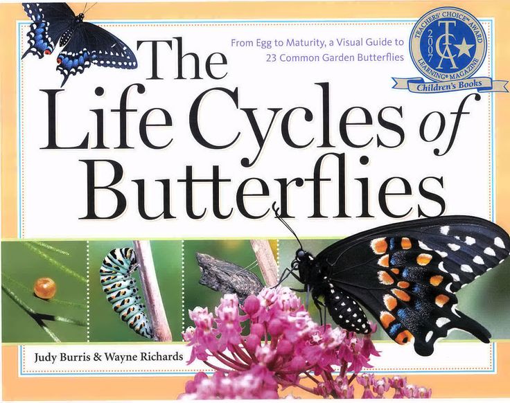 the life cycles of butterflies book