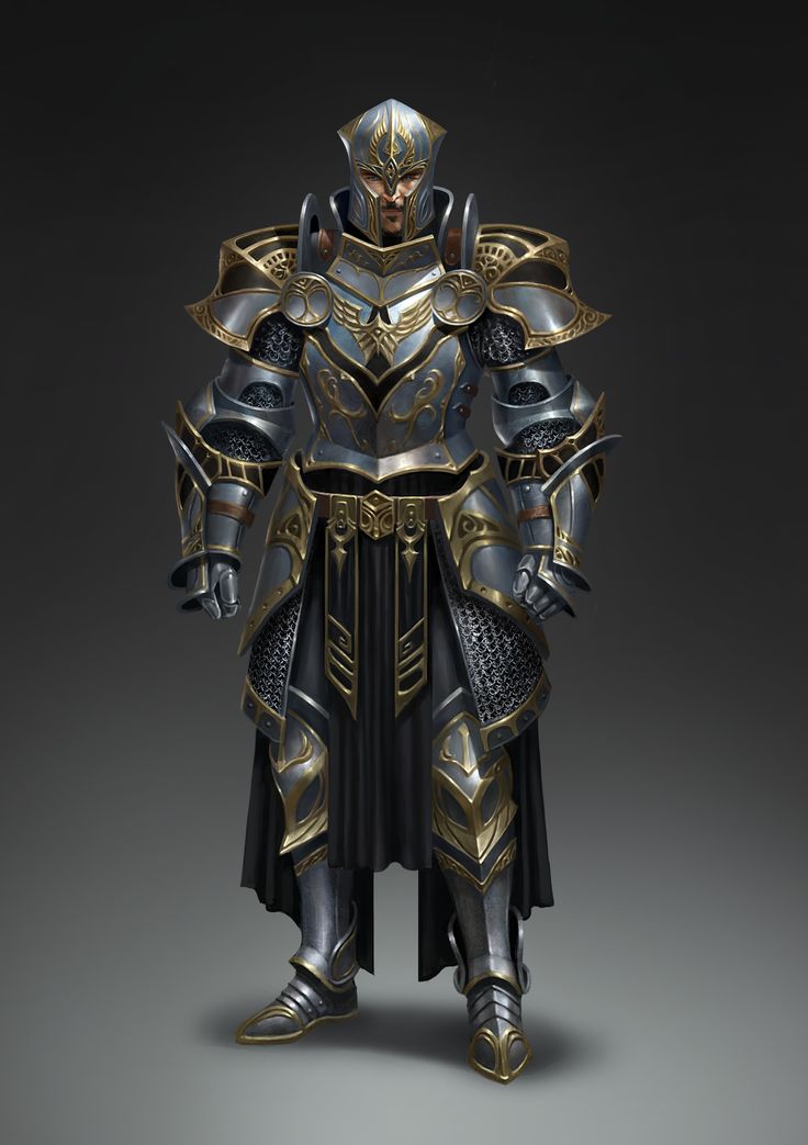 an image of a knight in armor