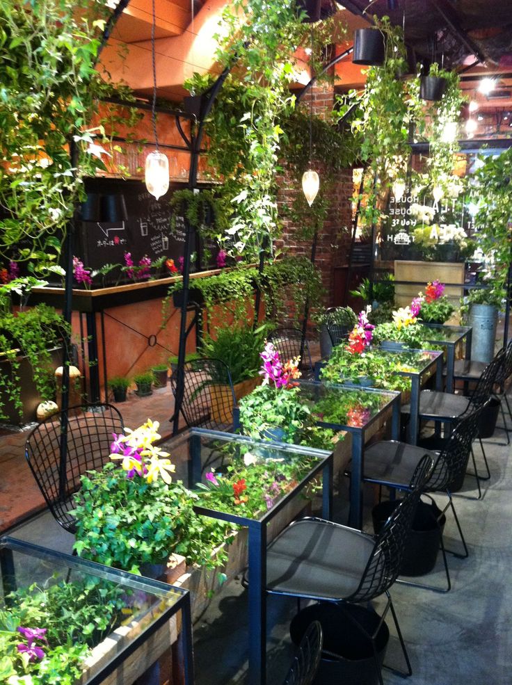 tables and chairs are lined up with plants