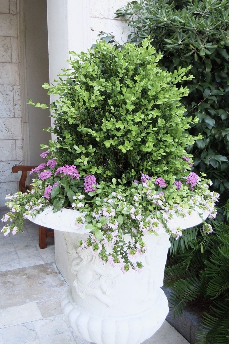 a white planter filled with purple flowers next to a green bush and shrubbery