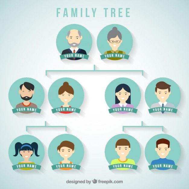 Premium Vector | Family tree