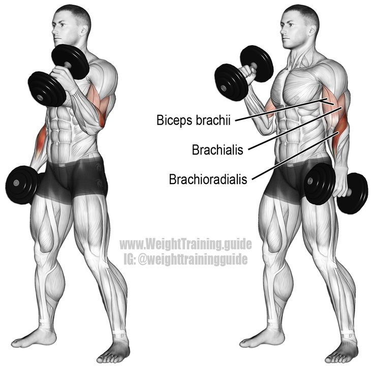 an image of a man doing exercises with dumbbells for back and shoulder muscles