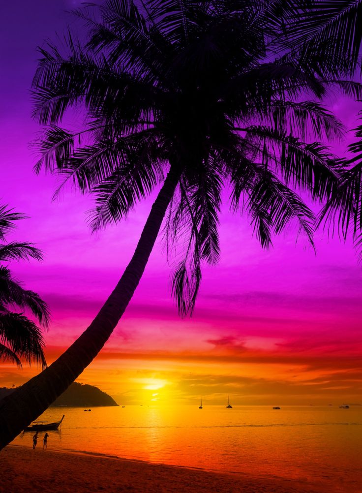 the sun is setting behind two palm trees on the beach with boats in the water