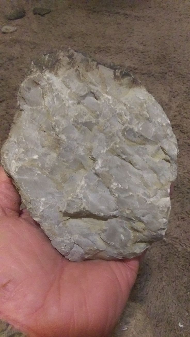 a person holding a rock in their hand