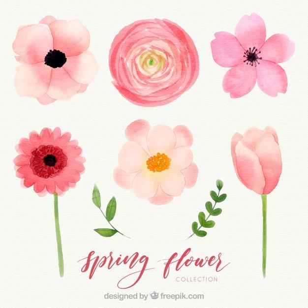 Download Free Watercolor Spring Flower Collection Svg Dxf Eps Png Floral Watercolor Floral Wreath Watercolor Flower Art