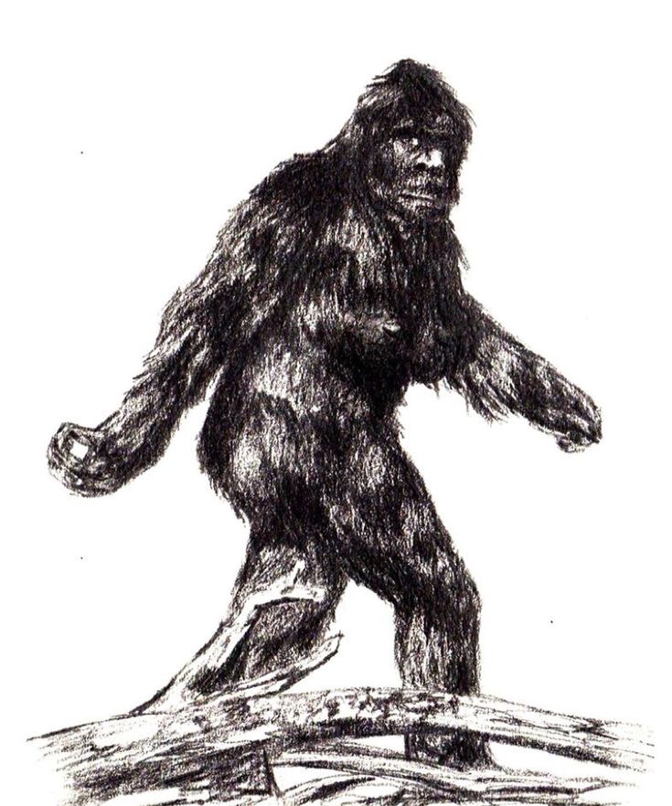 How To Draw A Simple Bigfoot