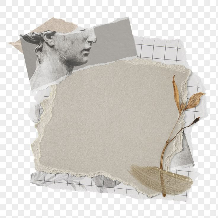 an old torn piece of paper with a dried plant on the side, hd png