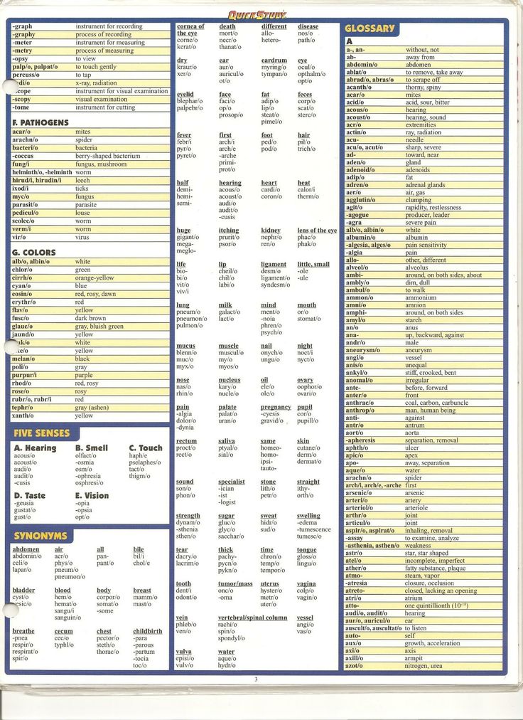 an image of a large list of things to see in the book, including names and numbers