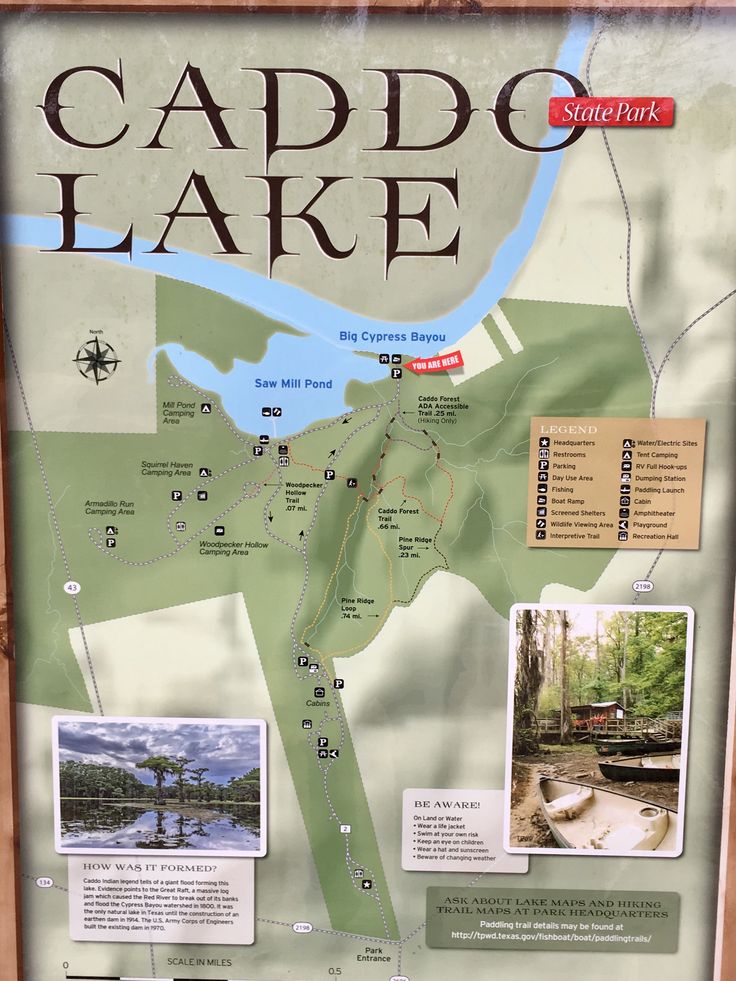 Caddo Lake Trail Map