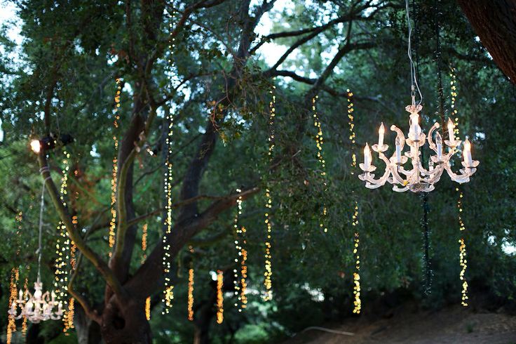 a chandelier hanging from a tree filled with lights