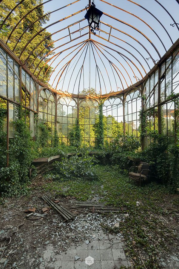 an abandoned greenhouse with lots of plants growing inside