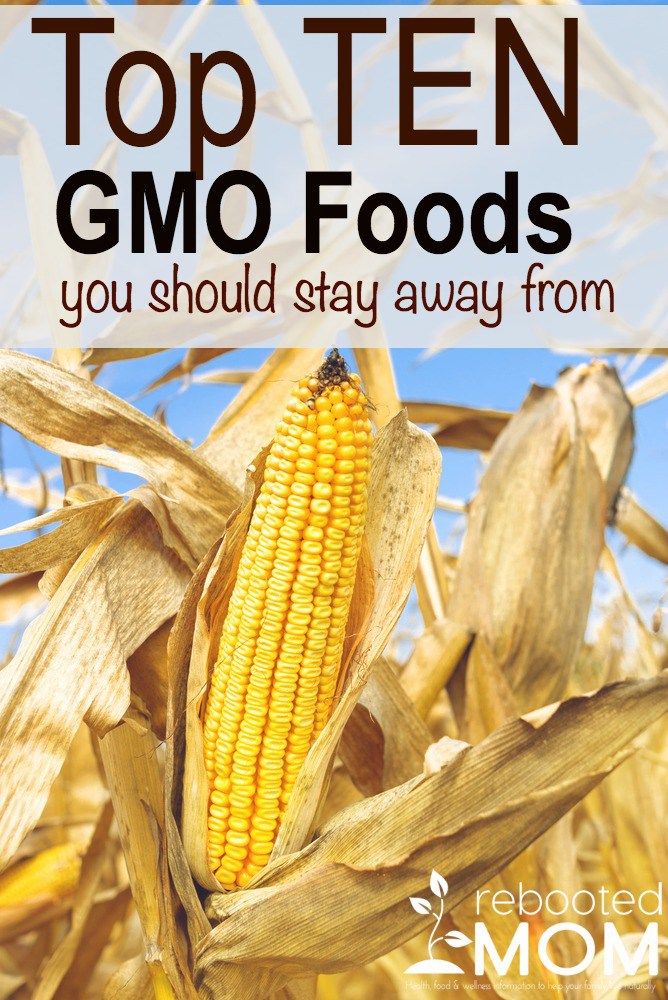 Top Ten GMO Foods You Should Stay Away From Food Documentaries, Genetically Modified Organisms, Genetically Modified Food, Gmo Foods, Yummy Smoothie Recipes, Eating Organic, Corn Recipes, Bad Food, Food Supply