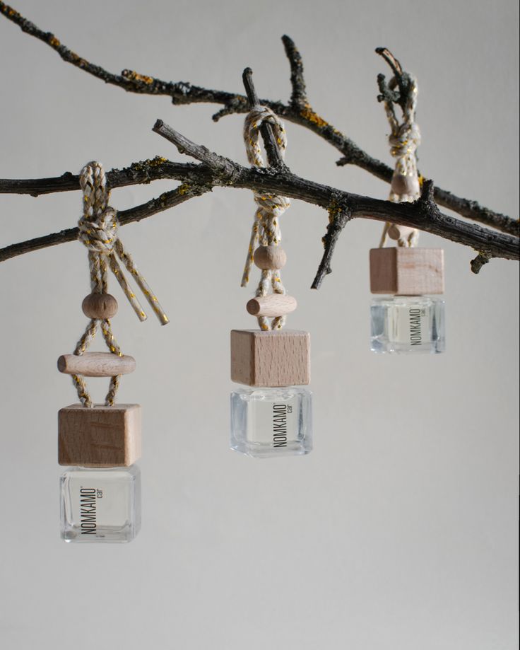 three glass cubes hanging from a tree branch with beaded necklaces on them