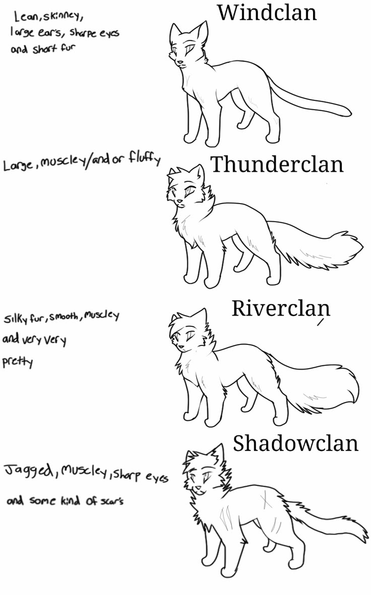 Pin by yok yok on cat drawing reference | Warrior cats comics, Warrior ...