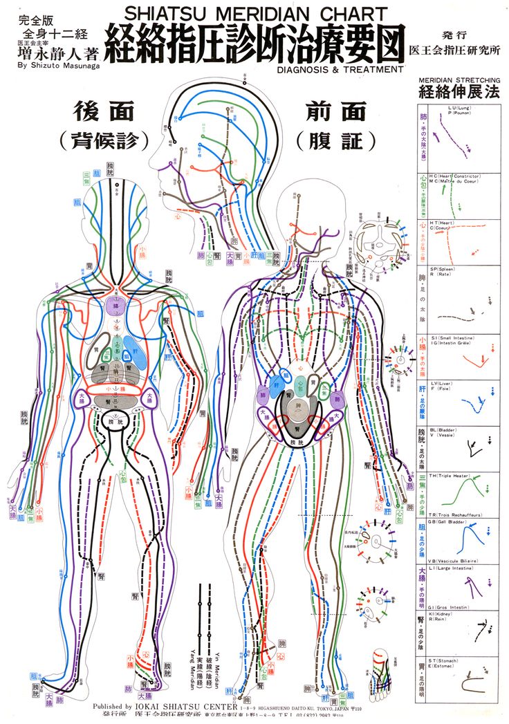 Shiatsu Meridian chart by Masunaga Meridian System, Spa Massage Therapy, Shiatsu Massage Acupressure, Increase Blood Flow, Shiatsu Massage, How To Relieve Headaches, Alternative Treatments, Full Body Massage, A Massage